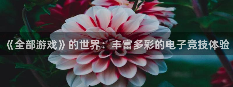 威廉希尔正版app：《全部游戏》的世界：丰富多彩的电子竞技体