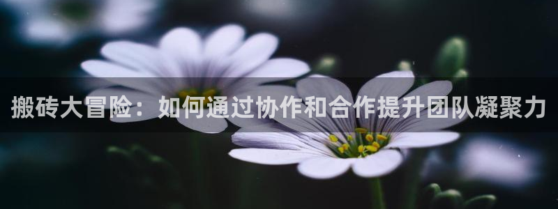 威廉希尔欧赔：搬砖大冒险：如何通过协作和合作提升团队凝聚力