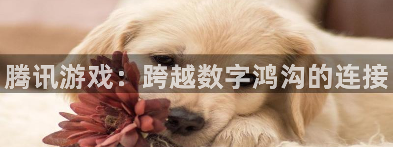 威廉希尔和立博胜平负对比：腾讯游戏：跨越数字鸿沟的连接