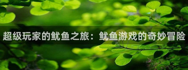  威廉希尔娱乐：超级玩家的鱿鱼之旅：鱿鱼游戏的奇妙冒险