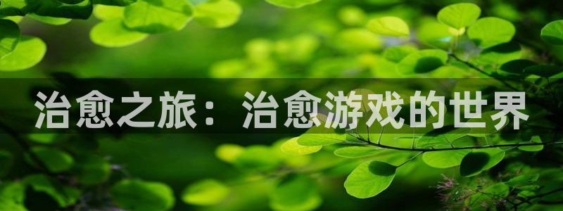 威廉希尔在国内能用吗：治愈之旅：治愈游戏的世界